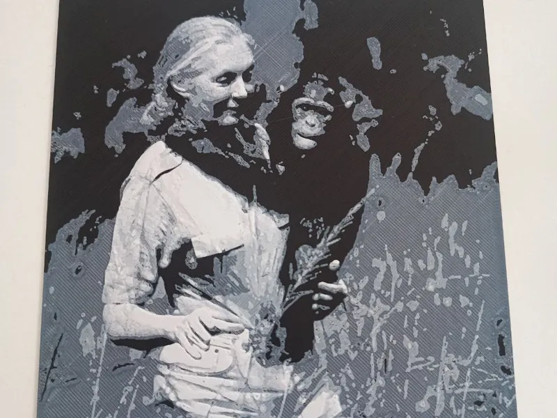Jane Goodall with Chimpanzee -Made with PrintSpots