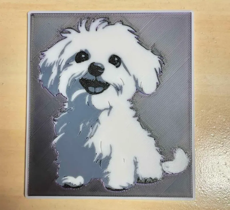 Maltese dog