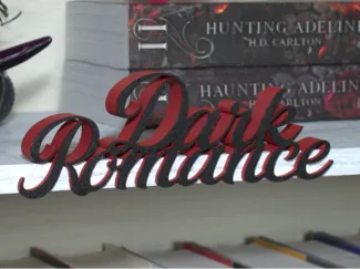 Dark Romance Book Shelf Sign with lip