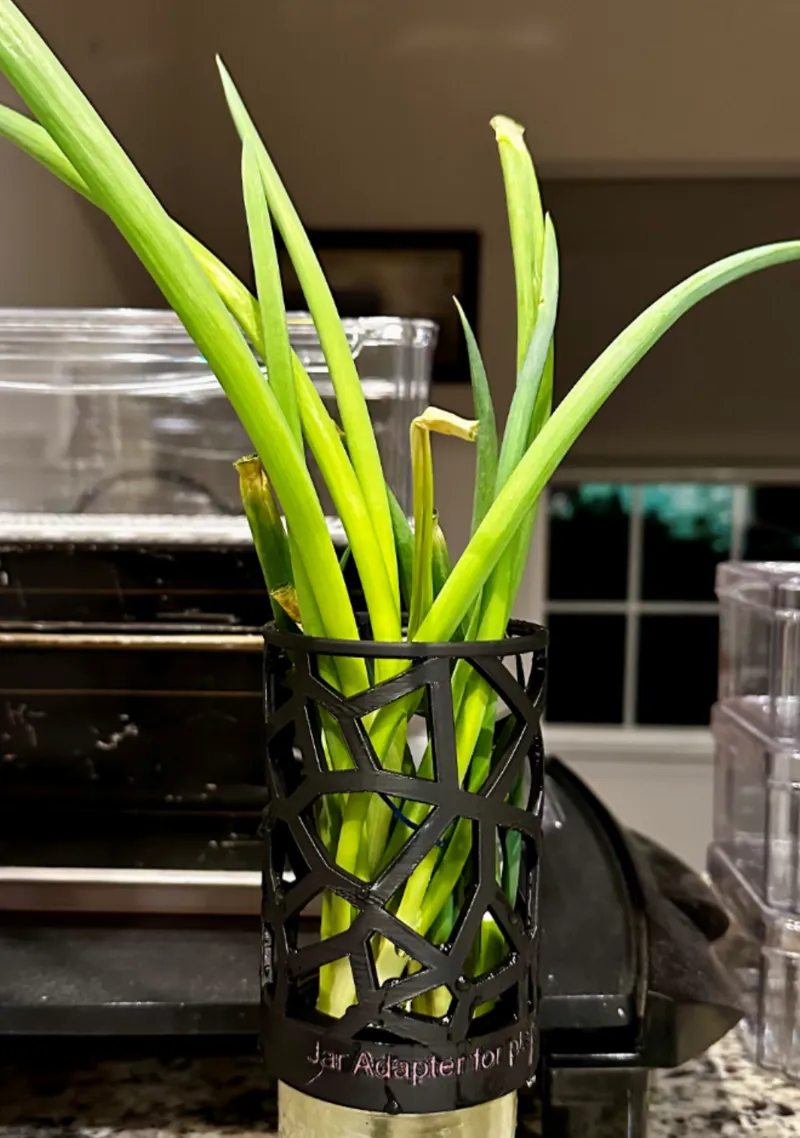 71mm Jar Lattice for plants or veggies