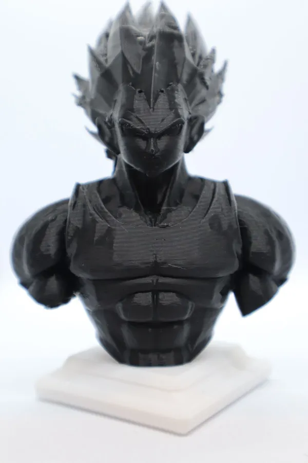 https://makerworld.bblmw.com/makerworld/model/US204ae0f538a506/design/2023-12-13_d799f1c23745c.jpeg