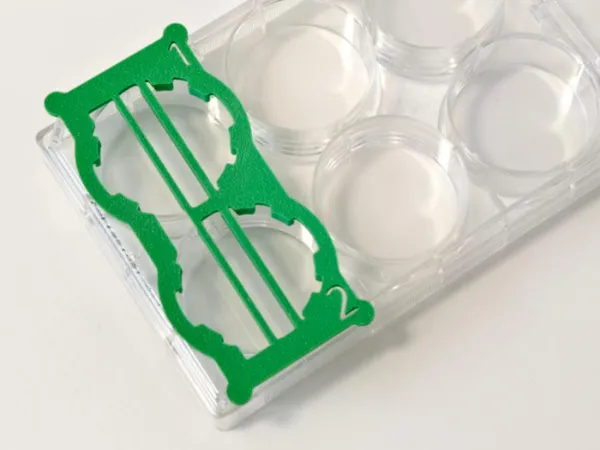https://makerworld.bblmw.com/makerworld/model/US204b1a49452b3f/design/2025-02-12_4abcce4346f348.jpg