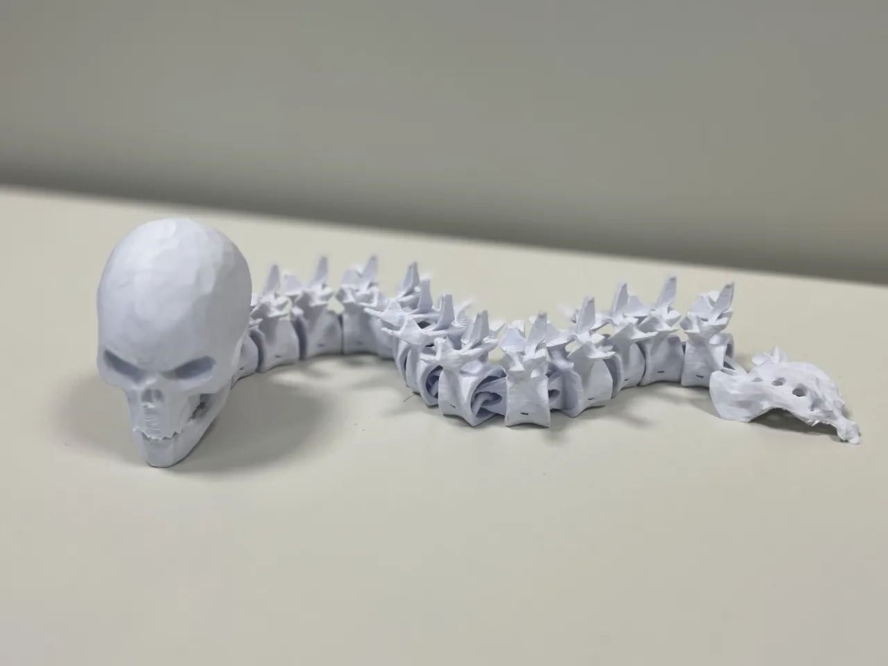 Articulated Halloween Spine and Skull view 2