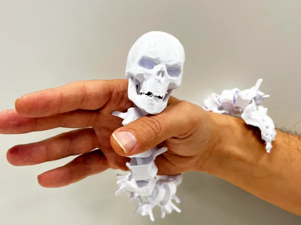 https://makerworld.bblmw.com/makerworld/model/US204f798c77184/design/2024-10-09_dd51a085ca7d3.png
