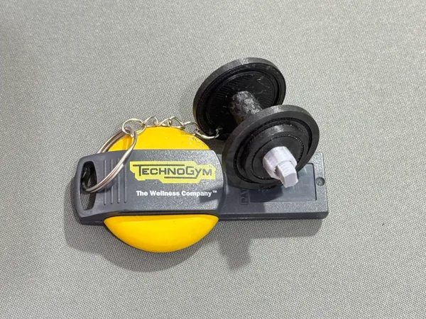 https://makerworld.bblmw.com/makerworld/model/US204fcbf214a538/design/2024-03-09_3c7941f9cd6ff.jpg
