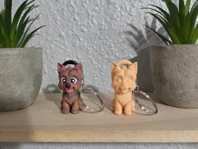 simpatico yorkie