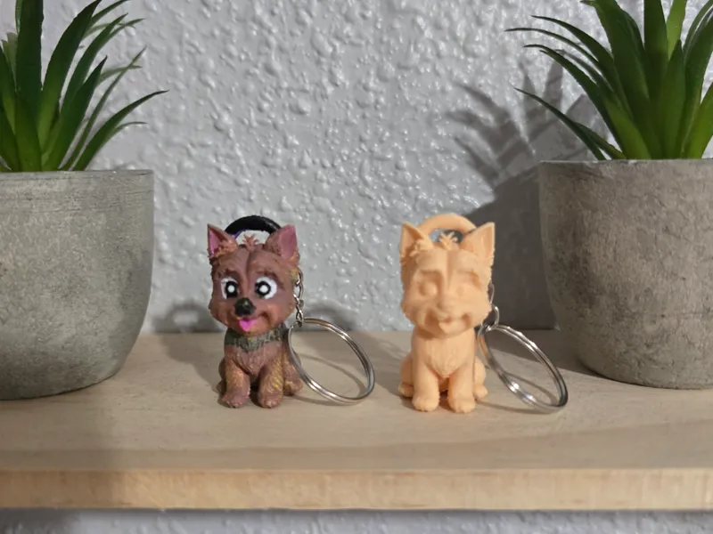 simpatico yorkie