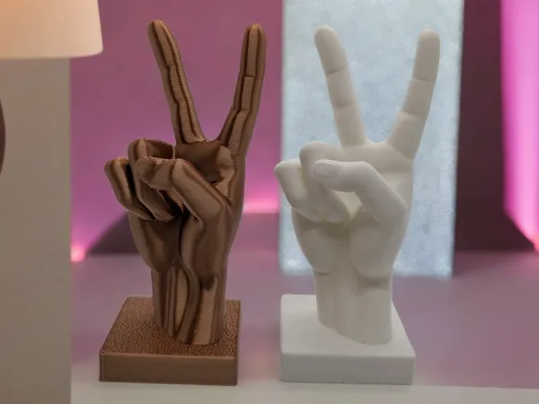 https://makerworld.bblmw.com/makerworld/model/US205c6e1cf93c2d/design/2025-02-28_a04828e4ca295.jpg