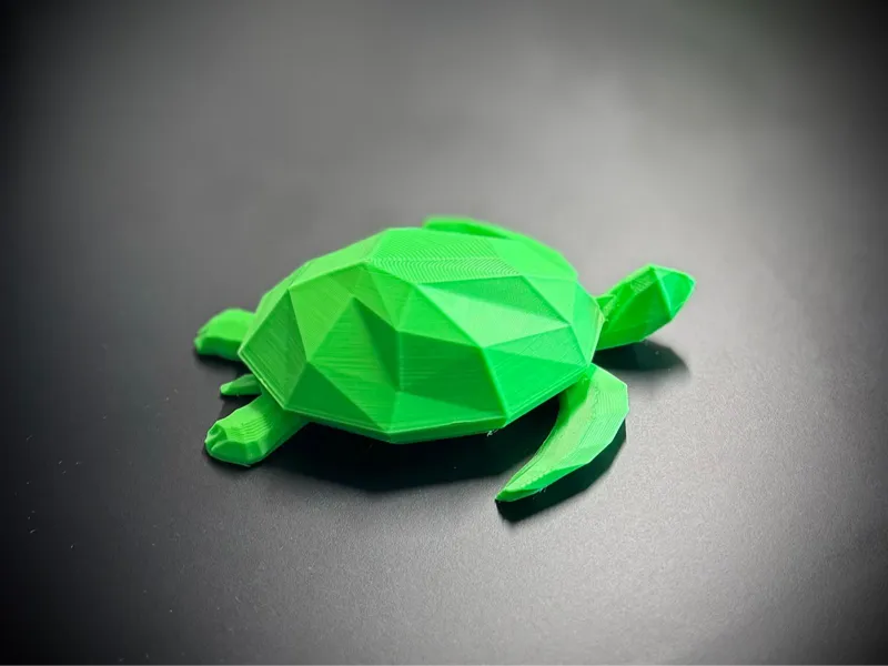 Low Poly Turtle With Compartment