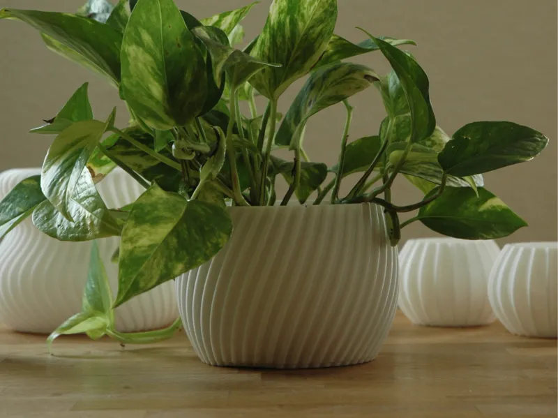Modern spiral planter "Alva" - 115mm x 95mm