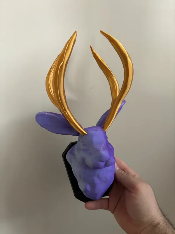 https://makerworld.bblmw.com/makerworld/model/US206b048a4f428b/design/2024-03-03_765822fd8e111.jpg