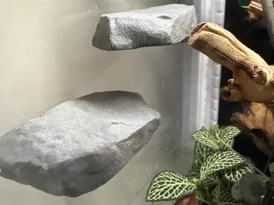Magnetic rock platform for jumping spiders