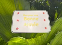 Version française