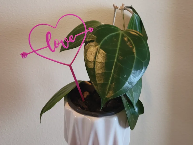 "Love" Heart Plant Stake-2 versions