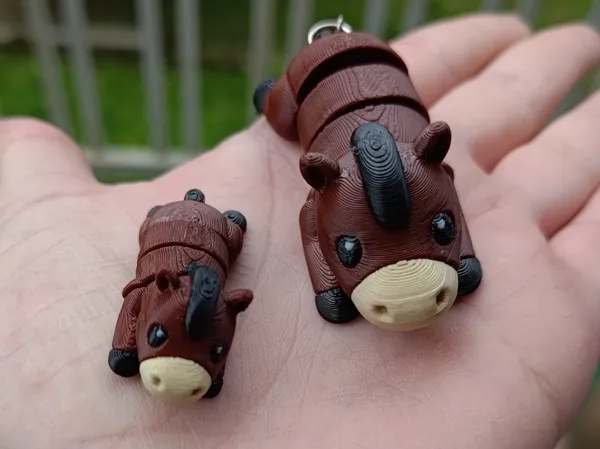 https://makerworld.bblmw.com/makerworld/model/US207a10236f617f/design/2025-06-05_17547c3dec3948.jpg