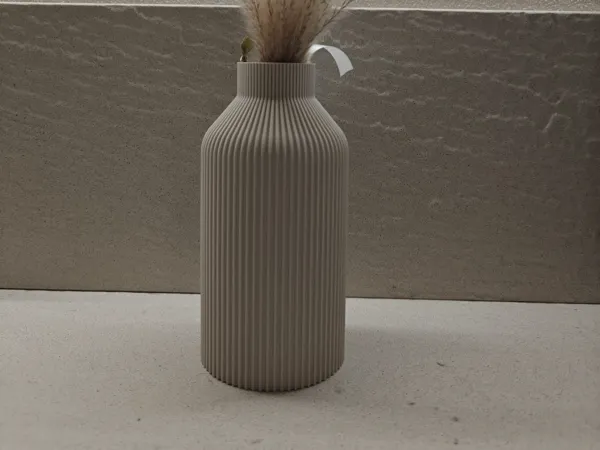 https://makerworld.bblmw.com/makerworld/model/US207c5fc89629b/design/2026-01-10_9d9c69c5f26438.jpg