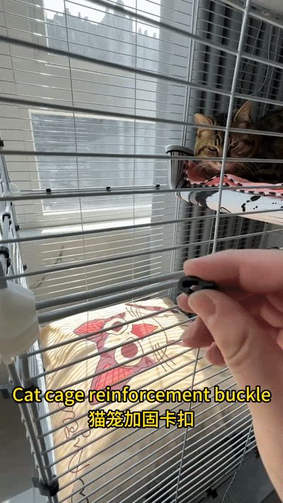 https://makerworld.bblmw.com/makerworld/model/US20816763ec26d0/design/2025-04-06_3e45b92241f9e8.gif