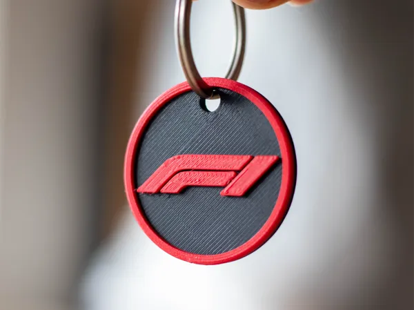 https://makerworld.bblmw.com/makerworld/model/US20946e70b22561/design/2025-11-05_cd8846622b654.jpg
