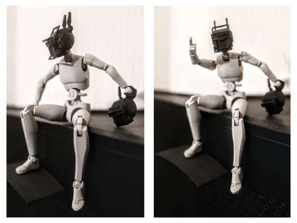 https://makerworld.bblmw.com/makerworld/model/US209528ed20157f/design/a596cded66128b43.jpg