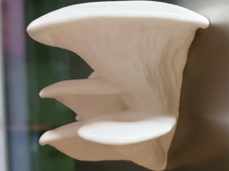 Oyster Mushroom Cluster – Magnet or Decorative