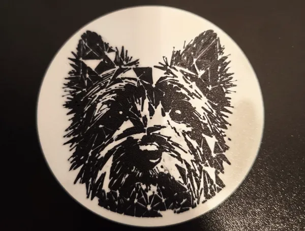 https://makerworld.bblmw.com/makerworld/model/US20985cd118334d/design/2024-12-20_6618f8c68b8f9.jpg