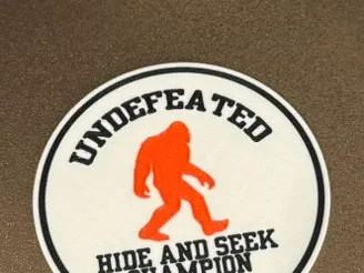 Undefeated Hide and Seek Champion