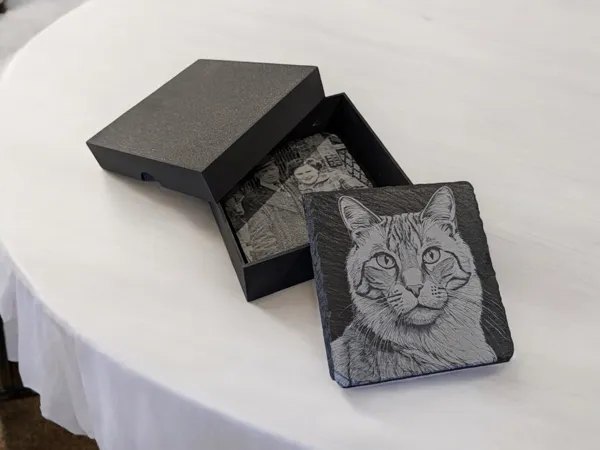 https://makerworld.bblmw.com/makerworld/model/US20a1463ba53787/design/2026-01-08_423096c14957.jpeg