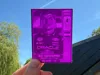 Max Verstappen card