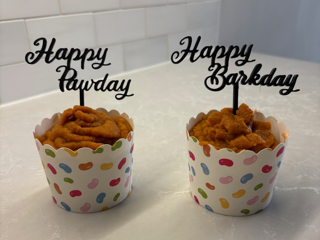 Happy Barkday (Birthday) & Happy Pawday