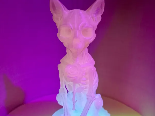 https://makerworld.bblmw.com/makerworld/model/US20a8e4dda9d587/design/2025-09-16_6f744af584ebd.jpg