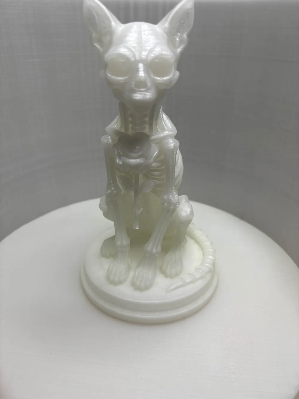 The Skeletal Cat Free 3D Print Model MakerWorld the-skeletal-cat-free-3d-print-model-makerworld