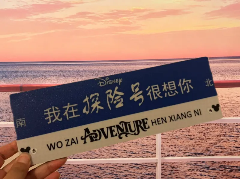 我在探险号很想你 迪士尼游轮 邮轮 Disney Cruise 门贴 冰箱贴