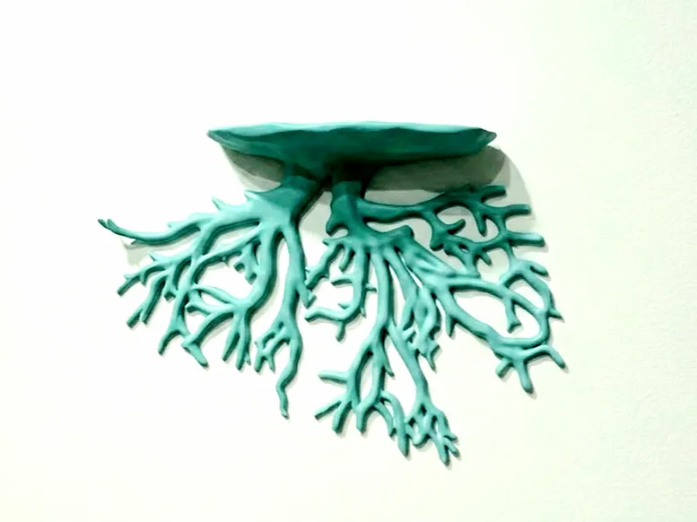 Coral Wall Hang Shelf
