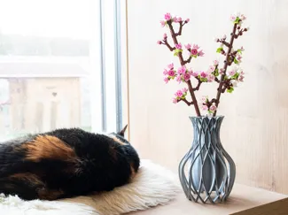 Floating Spiral Vase