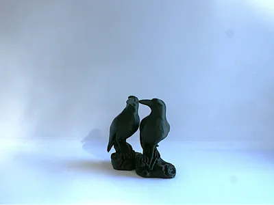 2 Ravens