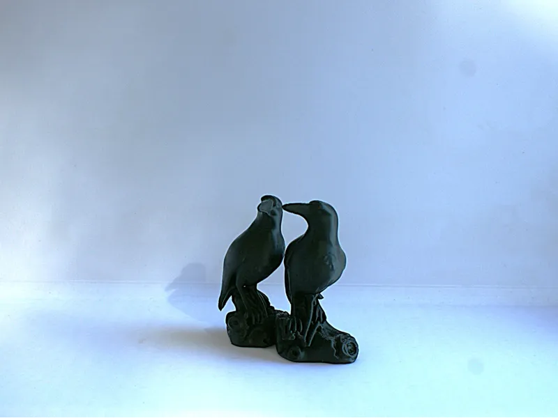 2 Raben