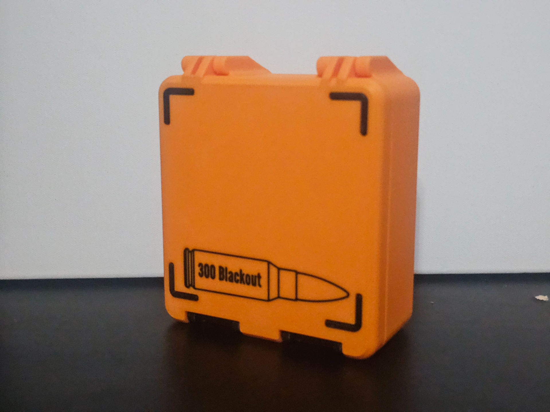 300 Blackout Ammo Box - 100/120 Rounds