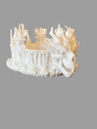 Couronne d'ossements de dragon — photo 3