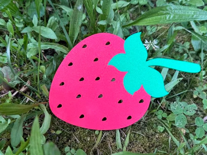 Strawberry Wildflower Holder