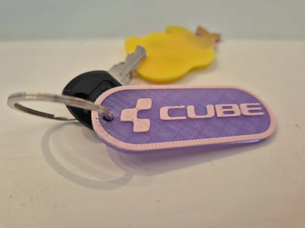 https://makerworld.bblmw.com/makerworld/model/US20be00967026c/design/2025-03-25_4024ec926329c.jpeg