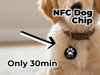 Schlüsselanhänger NFC Tag für Hunde