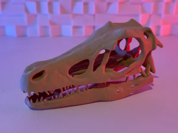 https://makerworld.bblmw.com/makerworld/model/US20c5fda4c40657/design/2025-07-04_76eb380bf402d.jpeg
