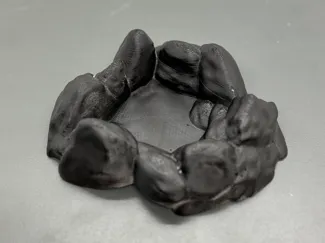 Meal Reptile Dish