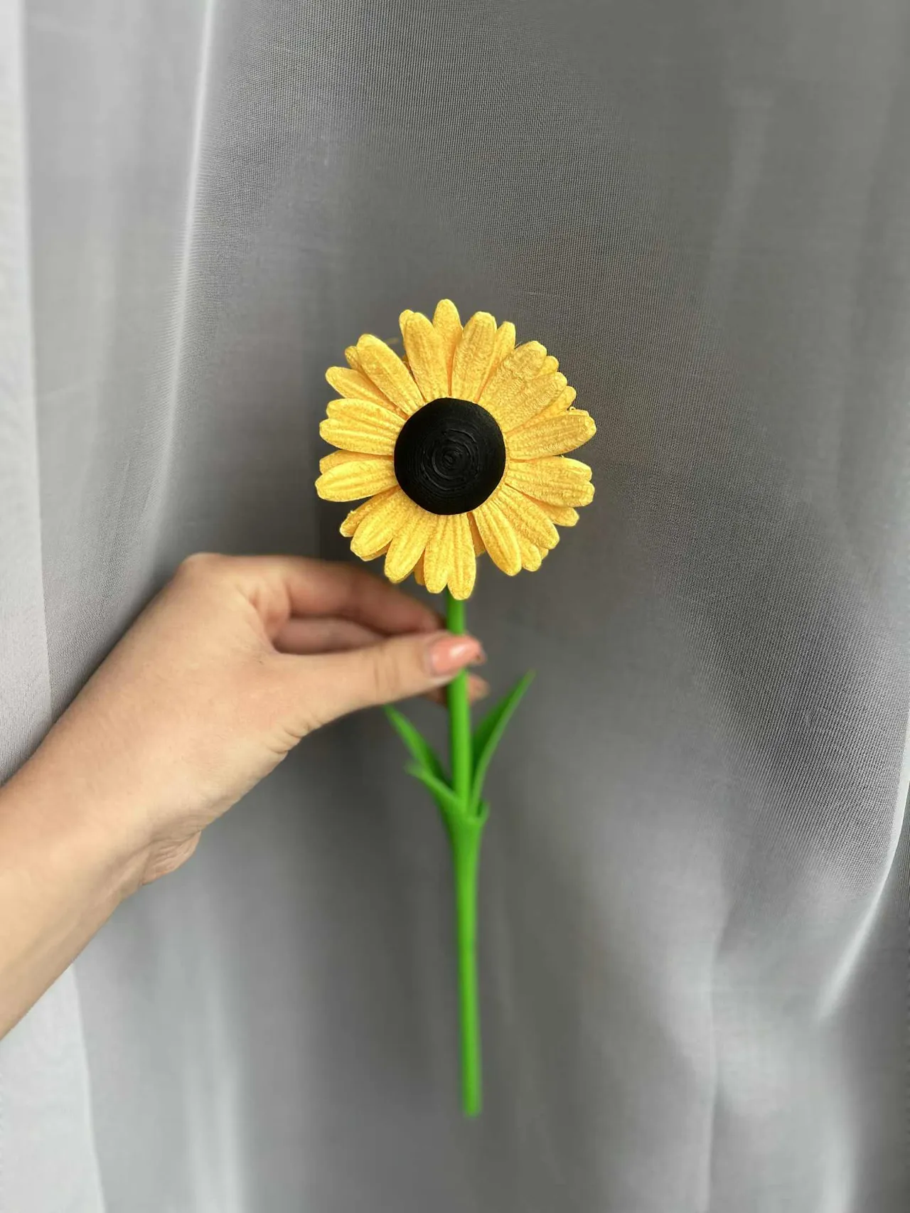 Sunflower view 4