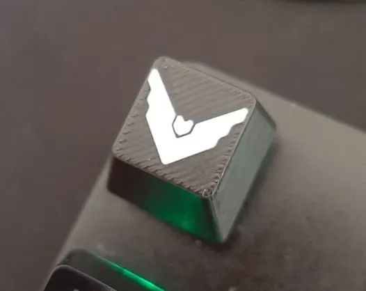https://makerworld.bblmw.com/makerworld/model/US20ccab532748e6/design/2024-07-07_884f796e72add.jpg