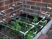 Vegetable frame connectors. Pea / bean frame