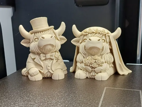 https://makerworld.bblmw.com/makerworld/model/US20d1e8e546ef07/design/6d7a50e1a95f6ce9.jpeg