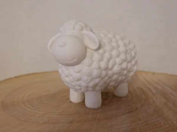 https://makerworld.bblmw.com/makerworld/model/US20d218fc53303a/design/ec62948d57859cb6.jpg