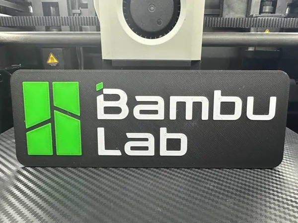 https://makerworld.bblmw.com/makerworld/model/US20d3992be06517/design/2025-02-08_3bc2f6d6aa01.jpg