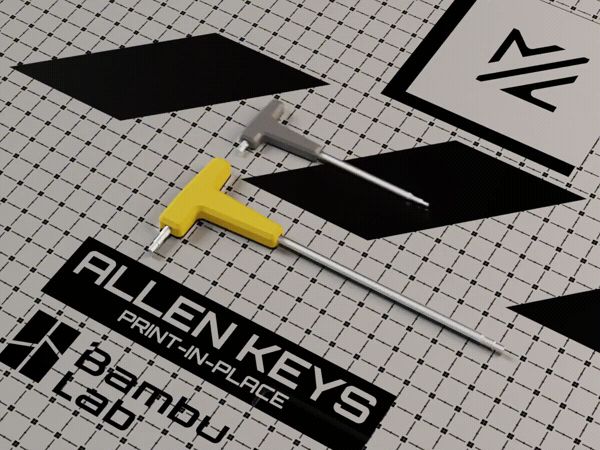 https://makerworld.bblmw.com/makerworld/model/US20d3f02f121cc4/design/2025-09-16_5be97fa5cd7be.gif